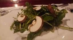 ワインバーエノトリアテルス