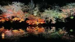 御船山楽園 茶屋バー