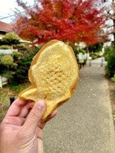 たい焼きsakuri