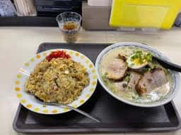 のぎく