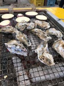飛龍丸