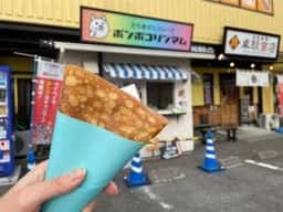 ポンポコリンマム