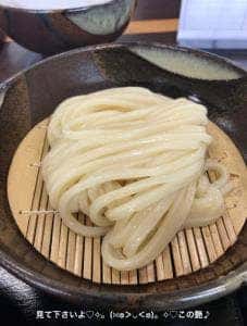 東かがわ マルタツ 手打ちうどん