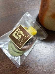 Sakura CHOCOLATE