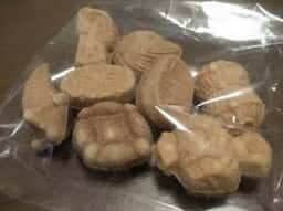 田中屋せんべい総本家