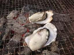 まえじま牡蠣小屋