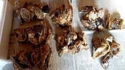 浦村かきの英治丸