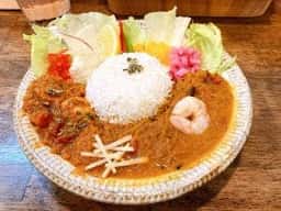 Spicy Curry WANYA