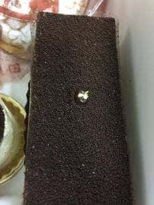 つるや菓舗