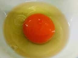 たまごや とよまる 松尾店