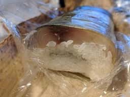 ひさご寿し 本店