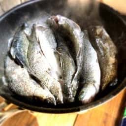つり場食堂 秋川国際マス釣場