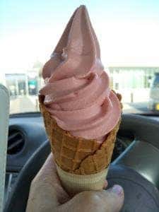 旅のイロドリカフェ 菖蒲PA外回り