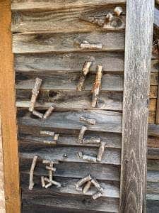 ごりらのしっぽ