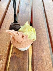 アグリタウン花の停車場