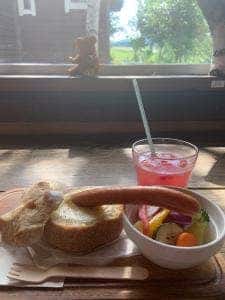 あるうのぱいん