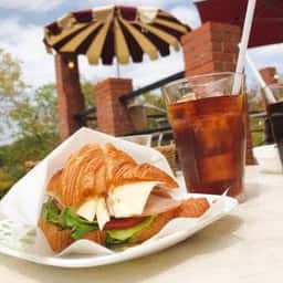 カフェテラス 樹ガーデン