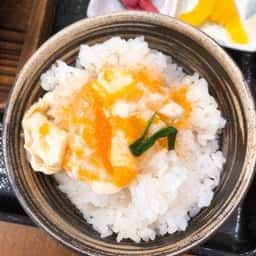 土佐くろしお村 村営とさっ子広場