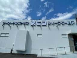 メヒコ シャークワールド