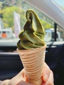 茶の葉堂