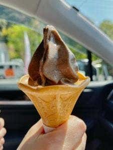 茶の葉堂