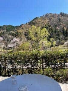 古今伝授の里 カフェ よぶこどり