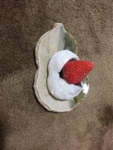 ストロベリーマニア 東京ソラマチ