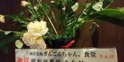 肉定食処 ぎんごんちゃん。食堂