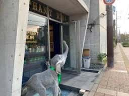 ELEPHANT RING