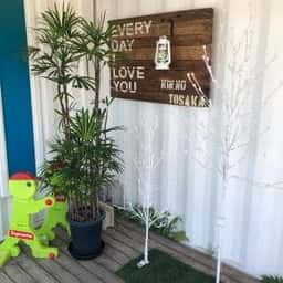 金の鶏冠