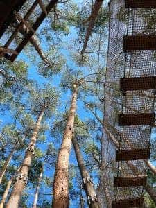 富士すばるランド