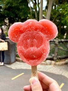 アイスクリームワゴン 東京ディズニーリゾート