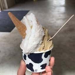 icecreamfactory PiPi