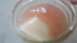 モロゾフ PLICO神戸店