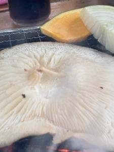 しい茸園 有馬富士