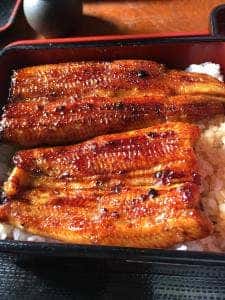 梅よし
