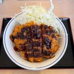 かつや 長野七瀬店