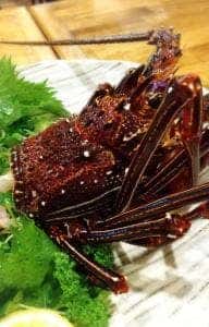 あまみの魚たち