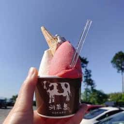 古株牧場 湖華舞 本店