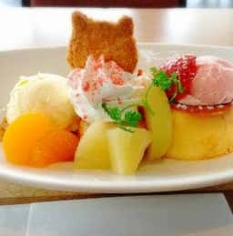 the park M's coffee 愛媛県美術館