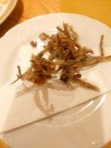 すとーんふぃーるど