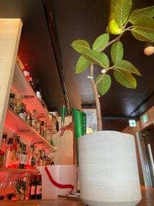 Bar TALI