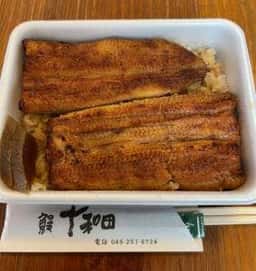 鰻 十和田