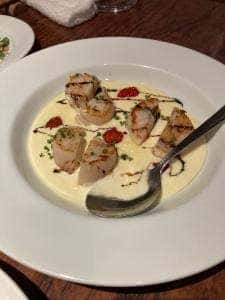 Cauda