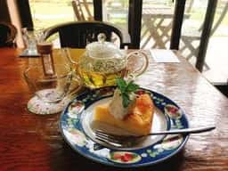 ひとやすみの庭