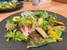 四季の旬菜料理 AEN 自由が丘店