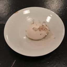 食堂セゾンドール