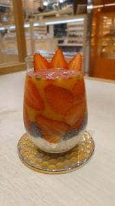 JTRRD
