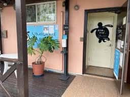 大浜うみがめcafe