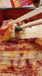 うなぎの小ノ孝